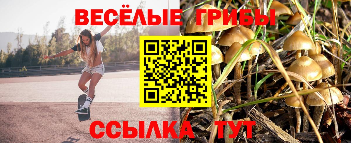Псилоцибиновые грибы Cubensis  Псилоцибиновые грибы Cubensis  где купить наркотик  Чайковский  Вход с VPN 